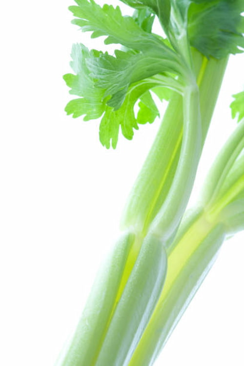 کرفس خوش‌ طعم با بافت ترد مناسب انواع سالاد